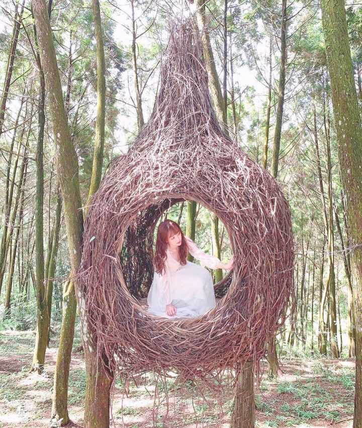 南投九樹森林 二館