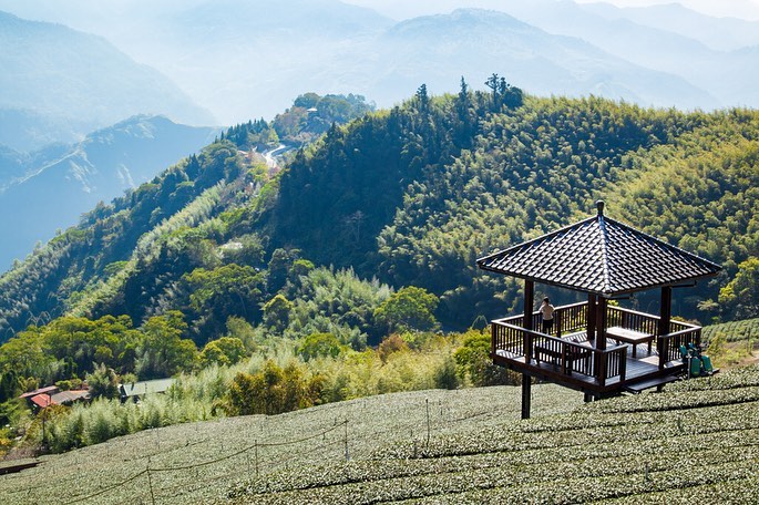 嘉義阿里山步道10選,走夢幻茶園、熱門步道享受群山環繞與落日夕陽相伴 嘉義阿里山步道10選,走夢幻茶園、熱門步道享受群山環繞與落日夕陽相伴