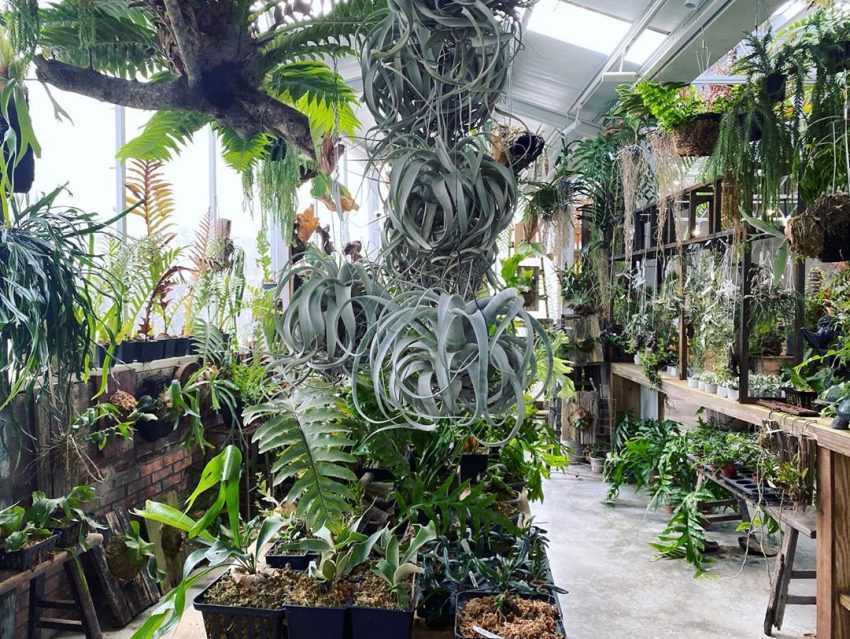 阿里山美食推薦︱嚴選6間必訪阿里山特色餐廳,喜愛品嚐美食的你,絕對不可錯過! 阿里山美食推薦︱嚴選6間必訪阿里山特色餐廳,喜愛品嚐美食的你,絕對不可錯過!