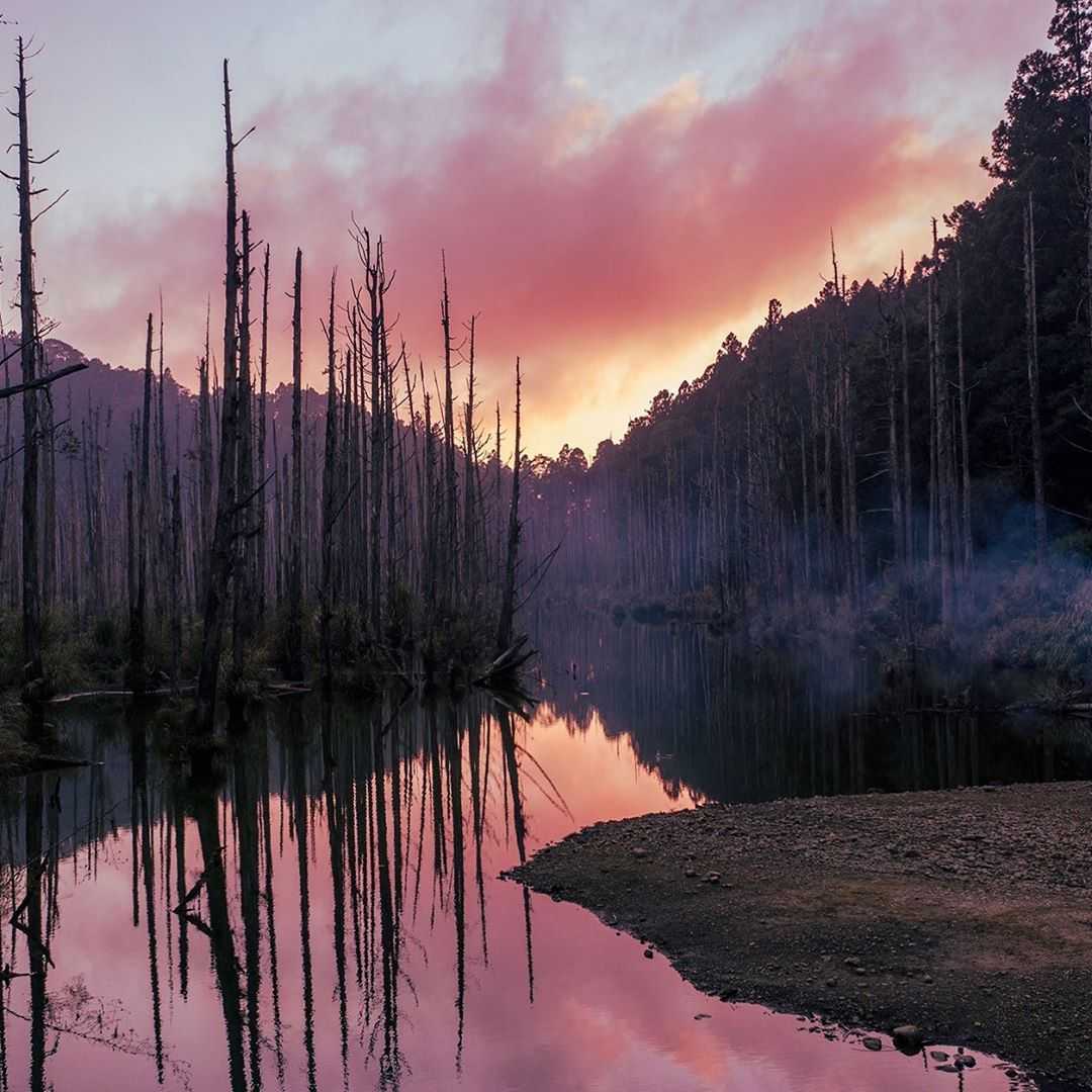 阿溪縱走懶人包|秒懂如何從阿里山走到杉林溪,親眼目睹水漾森林迷幻的視覺饗宴 阿溪縱走懶人包|秒懂如何從阿里山走到杉林溪,親眼目睹水漾森林迷幻的視覺饗宴