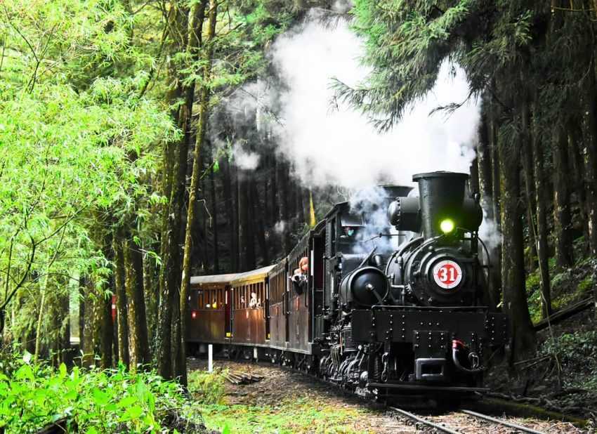 搭阿里山小火車一日遊怎麼玩？阿里山火車訂票教學、車票價格、10大必訪景點路線一次看！