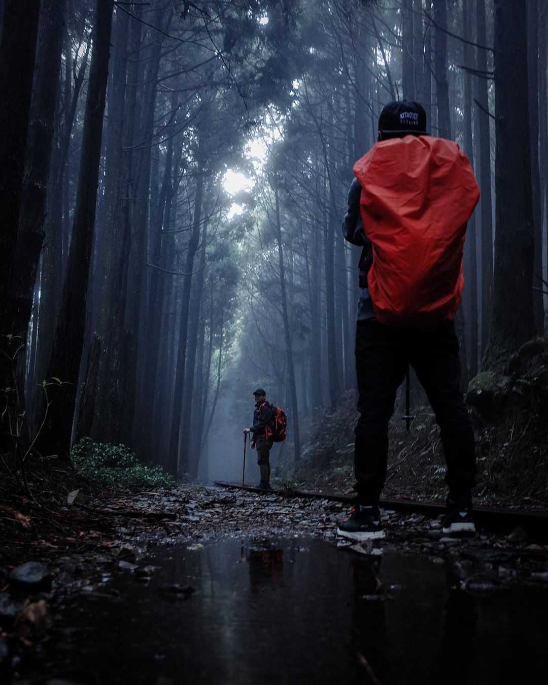 阿溪縱走懶人包|秒懂如何從阿里山走到杉林溪,親眼目睹水漾森林迷幻的視覺饗宴 阿溪縱走懶人包|秒懂如何從阿里山走到杉林溪,親眼目睹水漾森林迷幻的視覺饗宴