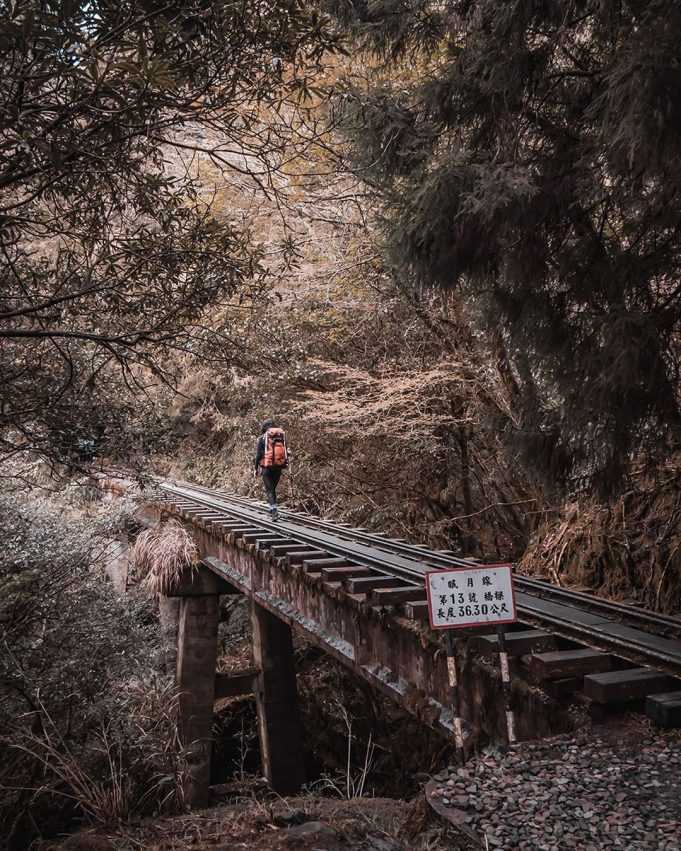 搭阿里山小火車一日遊怎麼玩？阿里山火車訂票教學、車票價格、10大必訪景點路線一次看！