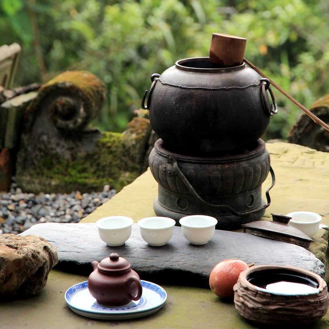生力農場採茶體驗 阿里山生力農場採茶體驗 | 來當採茶姑娘！風景優美臨近二延坪步道，咖啡、芬多精和茶葉香繚繞鼻尖，品茗阿里山特色茶，來個深度體驗旅遊 6 2026