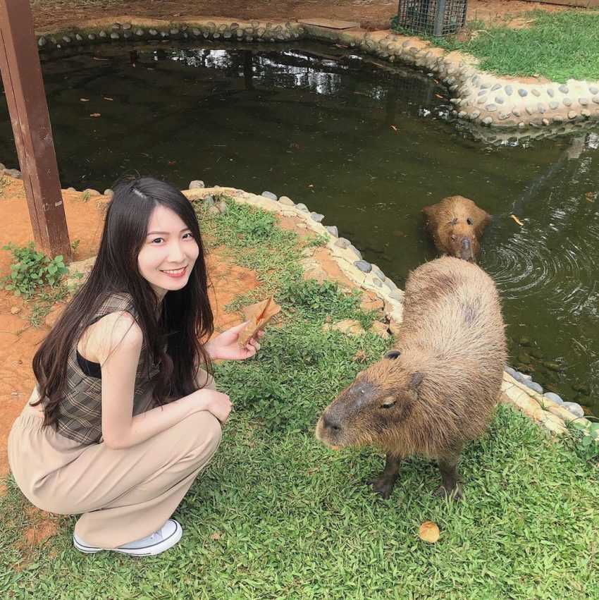 【桃園景點推薦】精選60個桃園一日遊景點,8條必玩路線攻略! 【桃園景點推薦】精選60個桃園一日遊景點,8條必玩路線攻略!