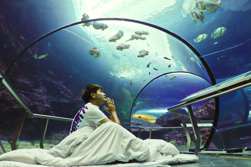 【台灣水族館攻略】人氣水族館不只有Xpark！從北到南、從東到離島，來趟水族館一日遊