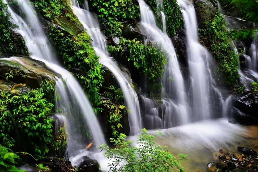 嘉義阿里山步道10選,走夢幻茶園、熱門步道享受群山環繞與落日夕陽相伴 嘉義阿里山步道10選,走夢幻茶園、熱門步道享受群山環繞與落日夕陽相伴