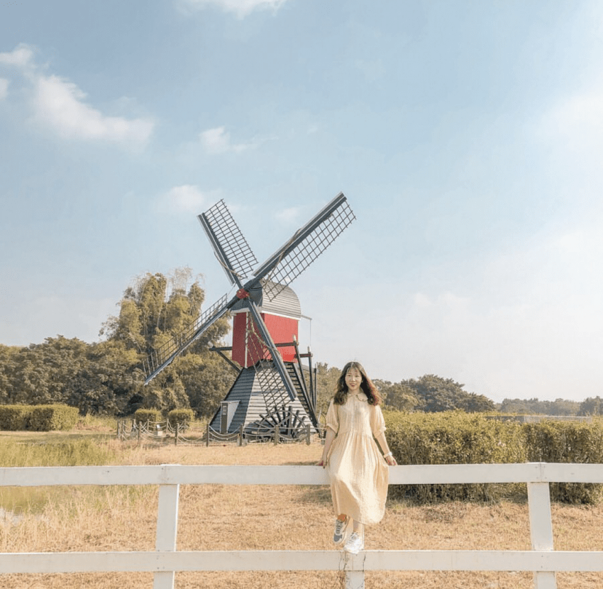 偽出國 德元埤荷蘭村