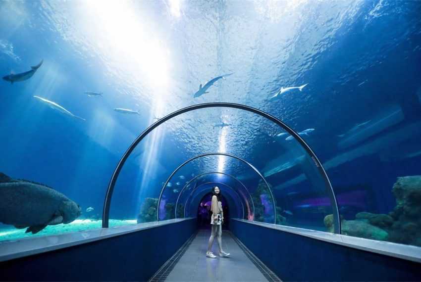 【台灣水族館攻略】人氣水族館不只有Xpark！從北到南、從東到離島，來趟水族館一日遊