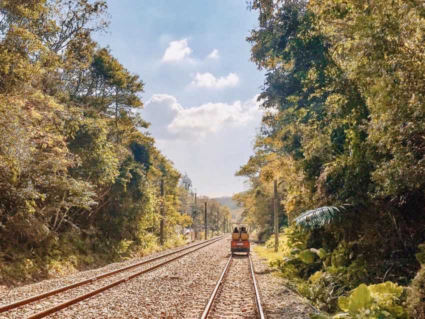 苗栗三義【舊山線鐵道自行車】一日遊，詳細網路訂票資訊、路線推薦懶人包
