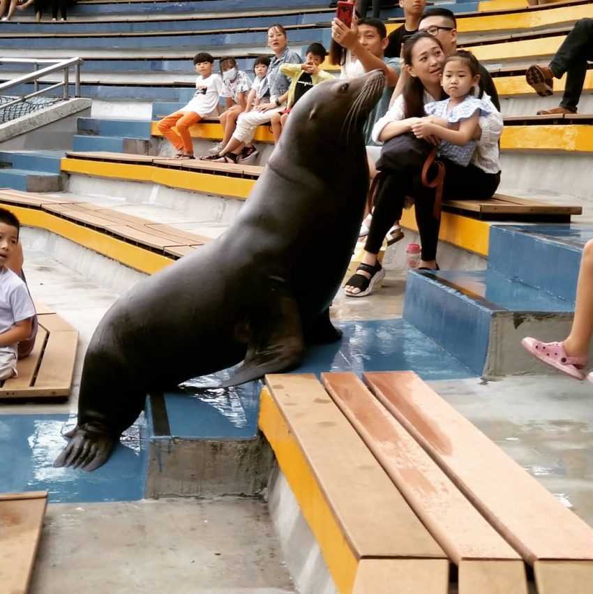 【台灣水族館攻略】人氣水族館不只有Xpark！從北到南、從東到離島，來趟水族館一日遊