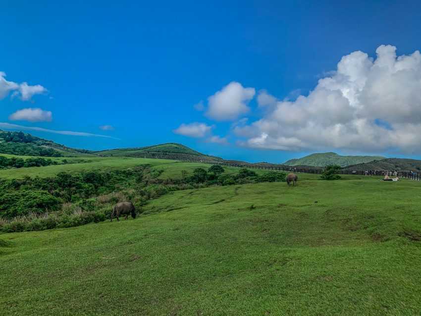 陽明山-擎天岡大草原-FB@allenlin721024