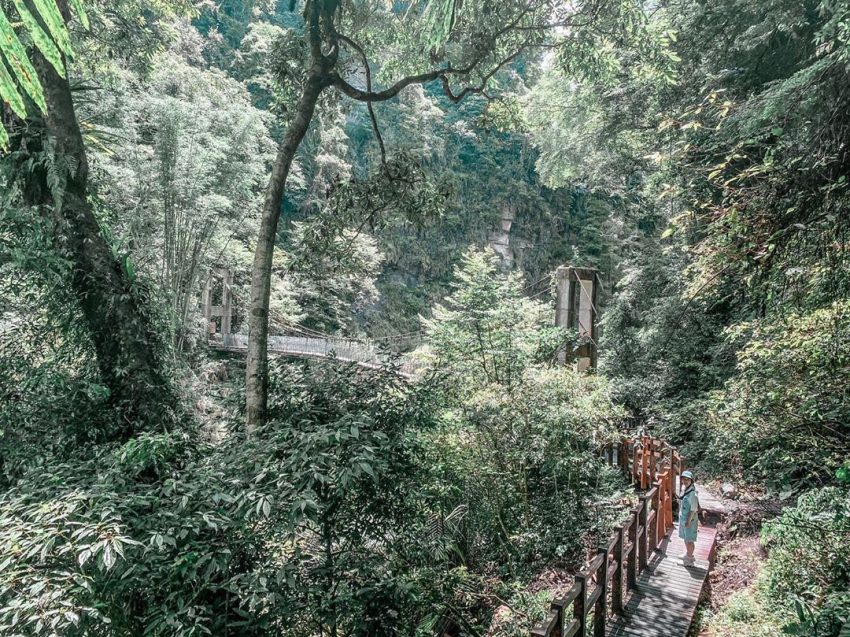 嘉義阿里山步道10選,走夢幻茶園、熱門步道享受群山環繞與落日夕陽相伴 嘉義阿里山步道10選,走夢幻茶園、熱門步道享受群山環繞與落日夕陽相伴