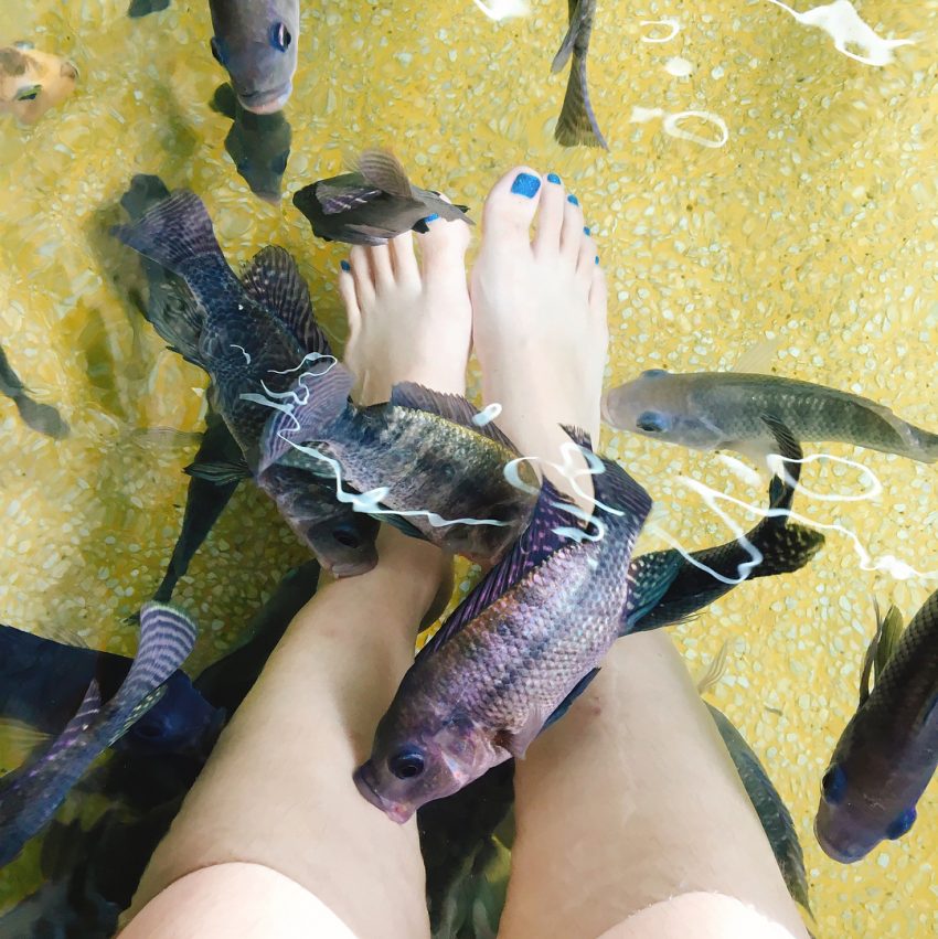 【宜蘭礁溪溫泉推薦】超夯宜蘭礁溪溫泉9選、宜蘭礁溪溫泉飯店、礁溪溫泉湯屋&泡腳體驗