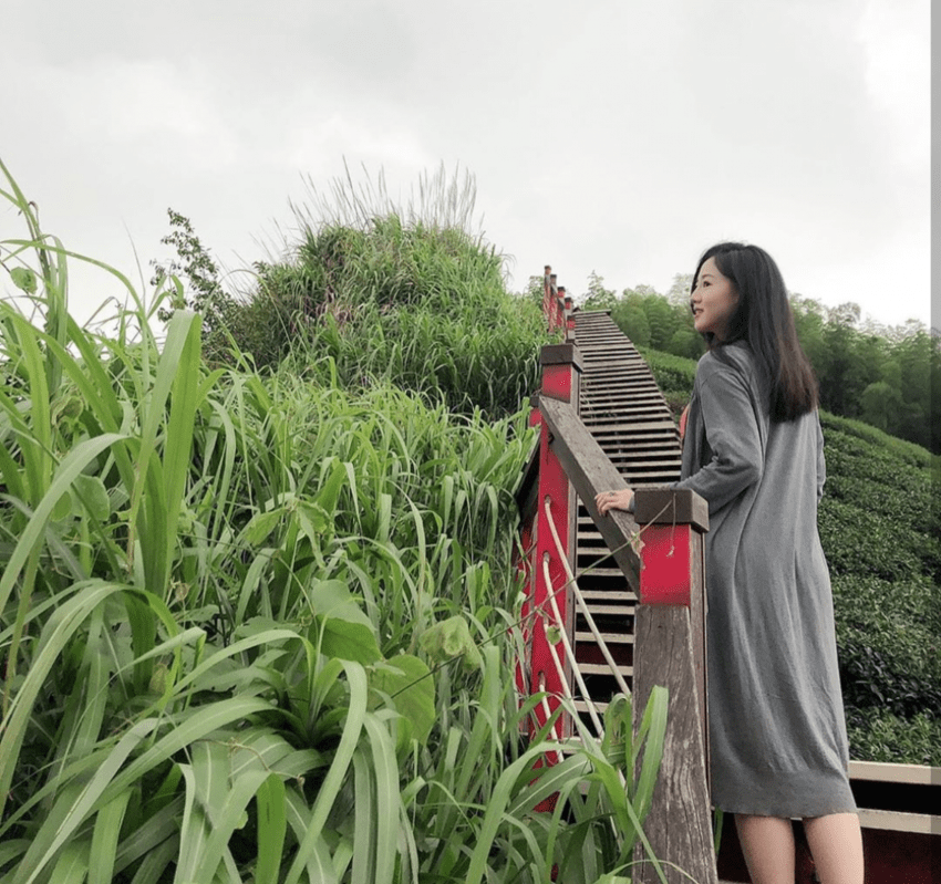 太平雲梯一日遊｜在雲海中漫步，走訪全台最高太平雲梯吊橋，順遊周邊超療癒自然景點