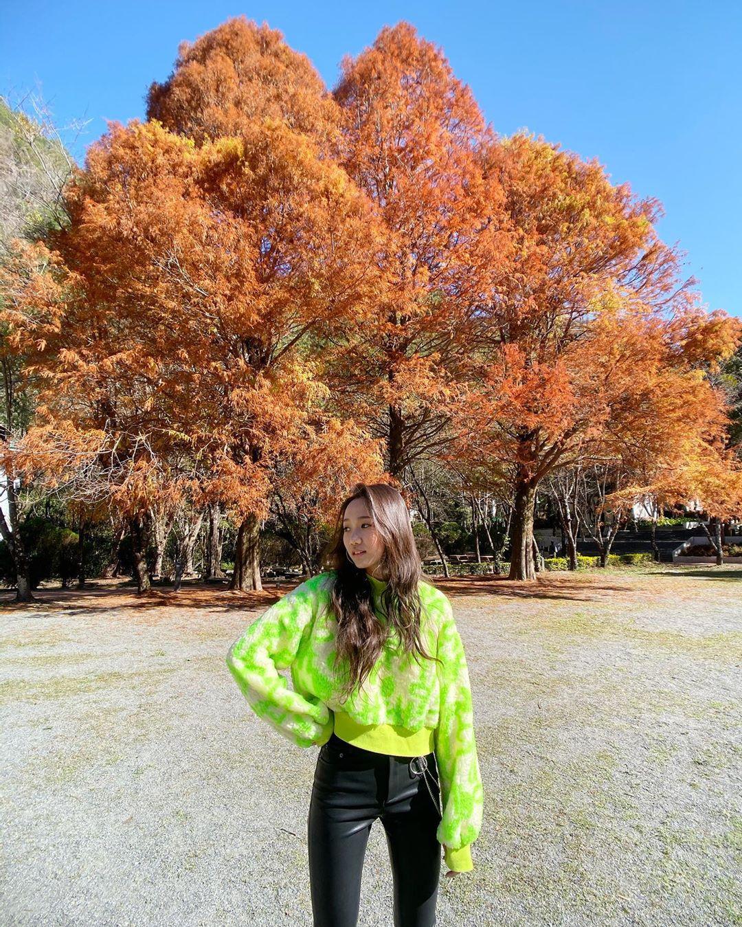 森林好好玩 森林好好玩 | 中部5大森林遊樂區景點推薦，必玩活博物館 ! 1 2026