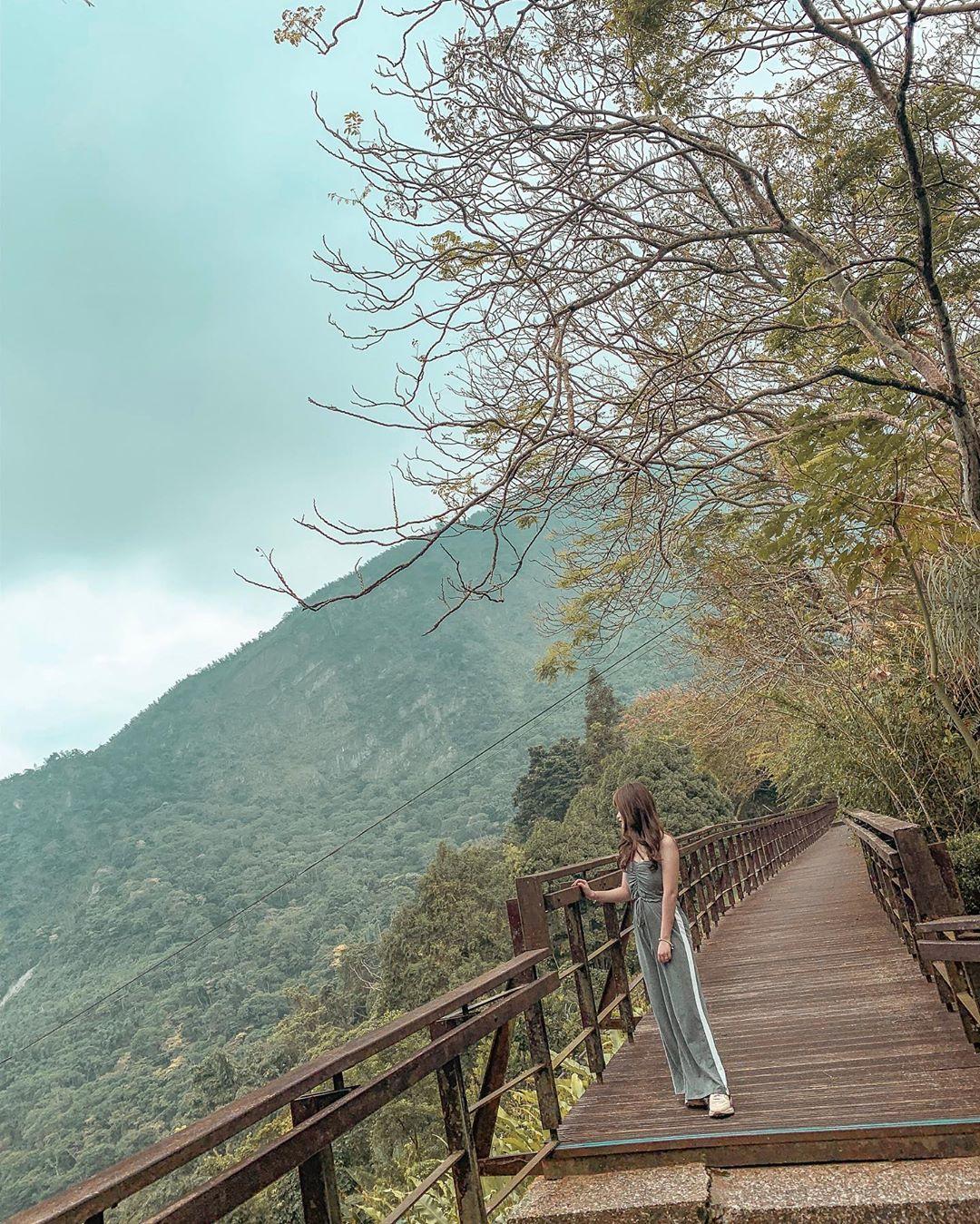 森林好好玩 森林好好玩 | 中部5大森林遊樂區景點推薦，必玩活博物館 ! 13 2026