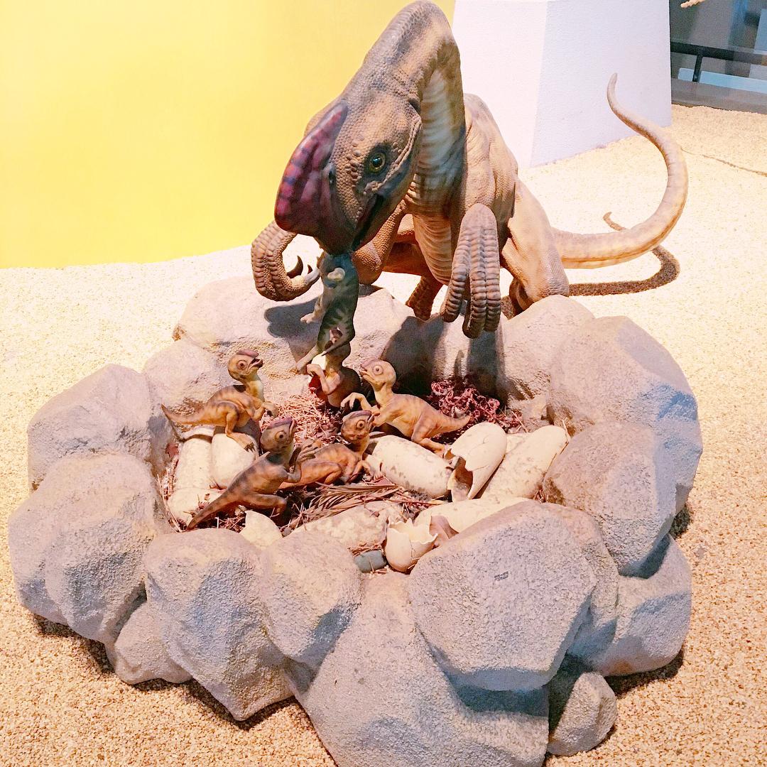 台中科博館門票優惠,必看木乃伊&恐龍展、植物園,滿足你的好奇心 台中科博館門票優惠,必看木乃伊&恐龍展、植物園,滿足你的好奇心