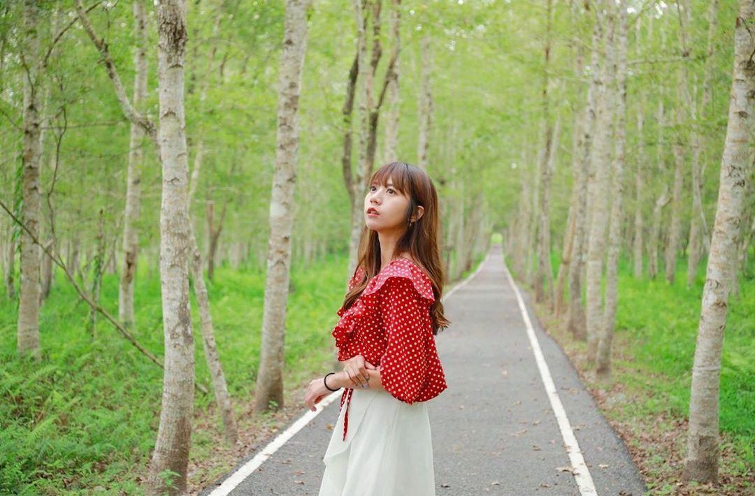 東部森林遊樂區 東部森林遊樂區 |宜花東5個森林系景點推薦,最親近大自然的郊外景區 2 2026