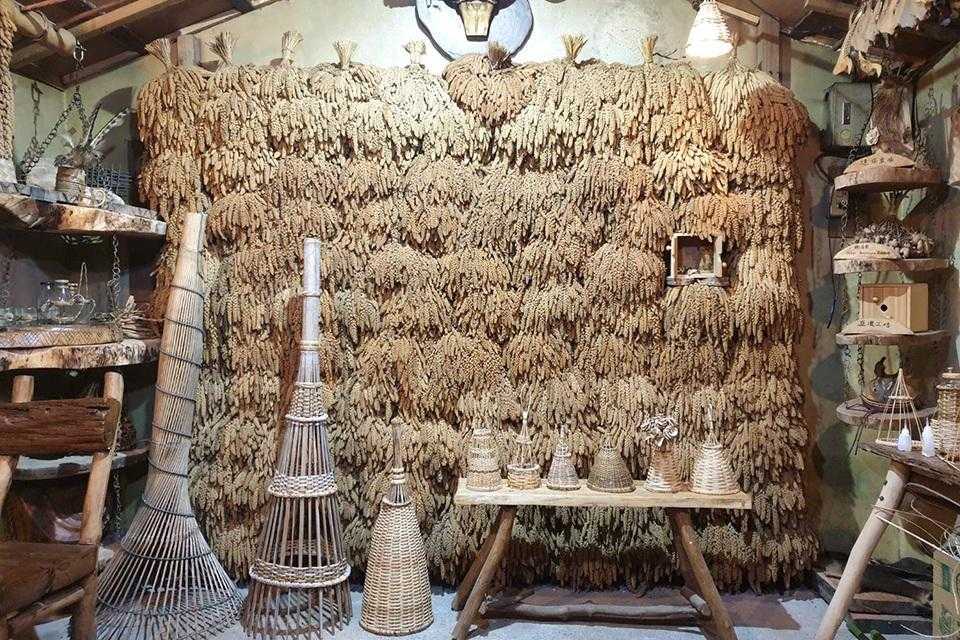 台北當代藝術館 台北當代藝術館！必看展覽、四大參觀路線、門票資訊 13 2026