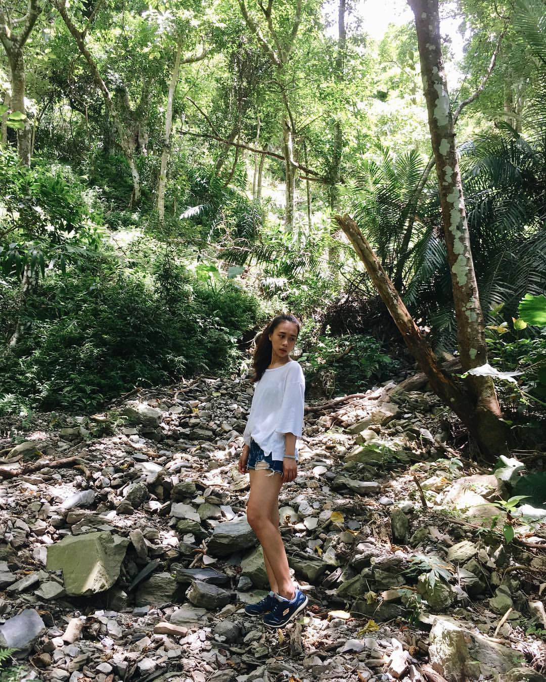 東部森林遊樂區推薦 東部森林遊樂區推薦