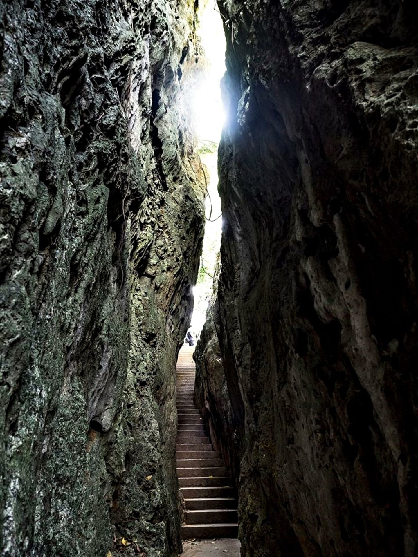 南部森林遊樂區 【南部森林遊樂區】台灣南部 5 座森林遊樂區，天然的活博物館，散步森林步道中享受芬多精 2 2026