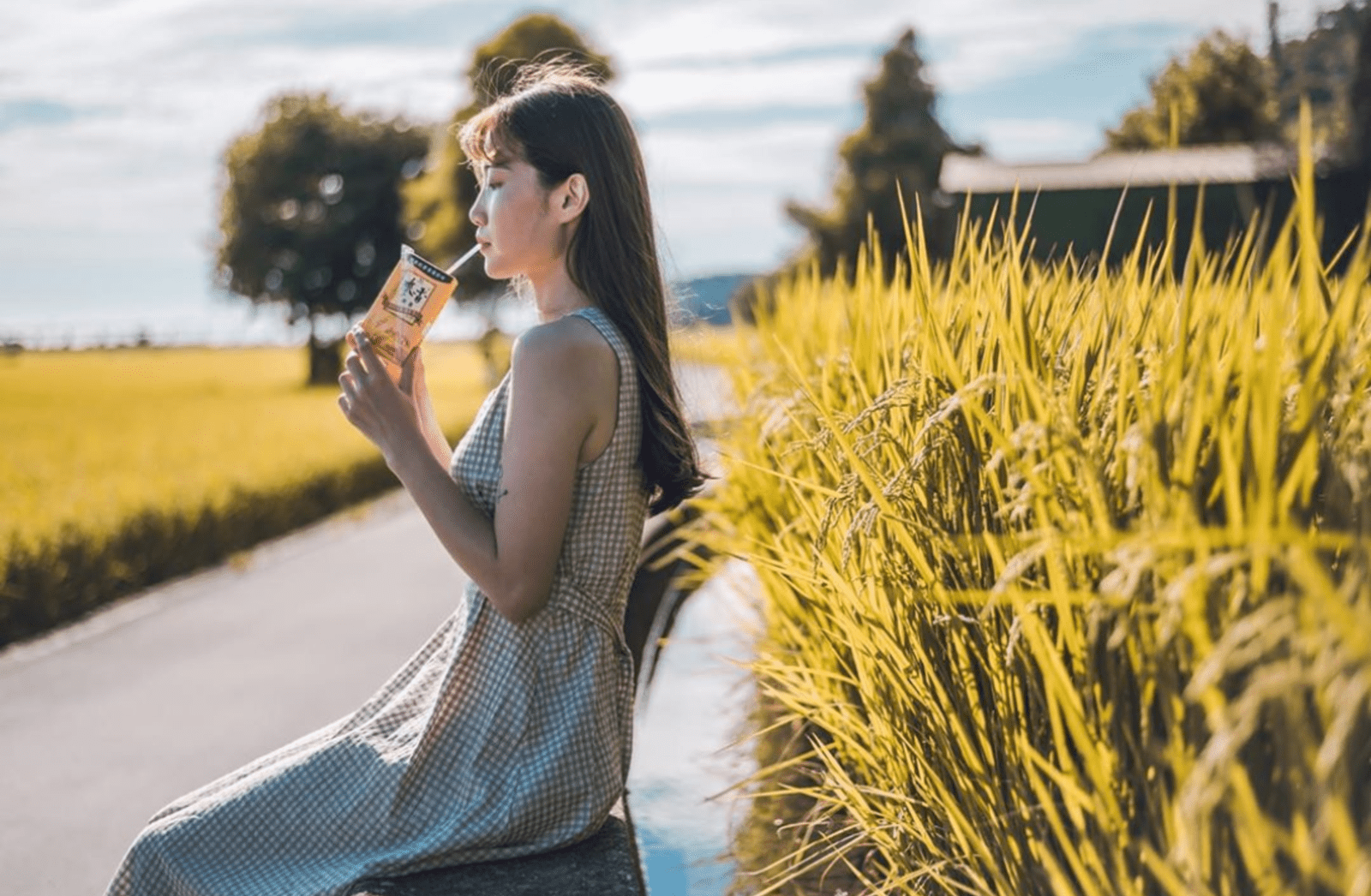 台中打卡景點 台中打卡景點｜蒐集5個自然系網美景點，美拍、踩點一日遊就能玩！ 6 2026