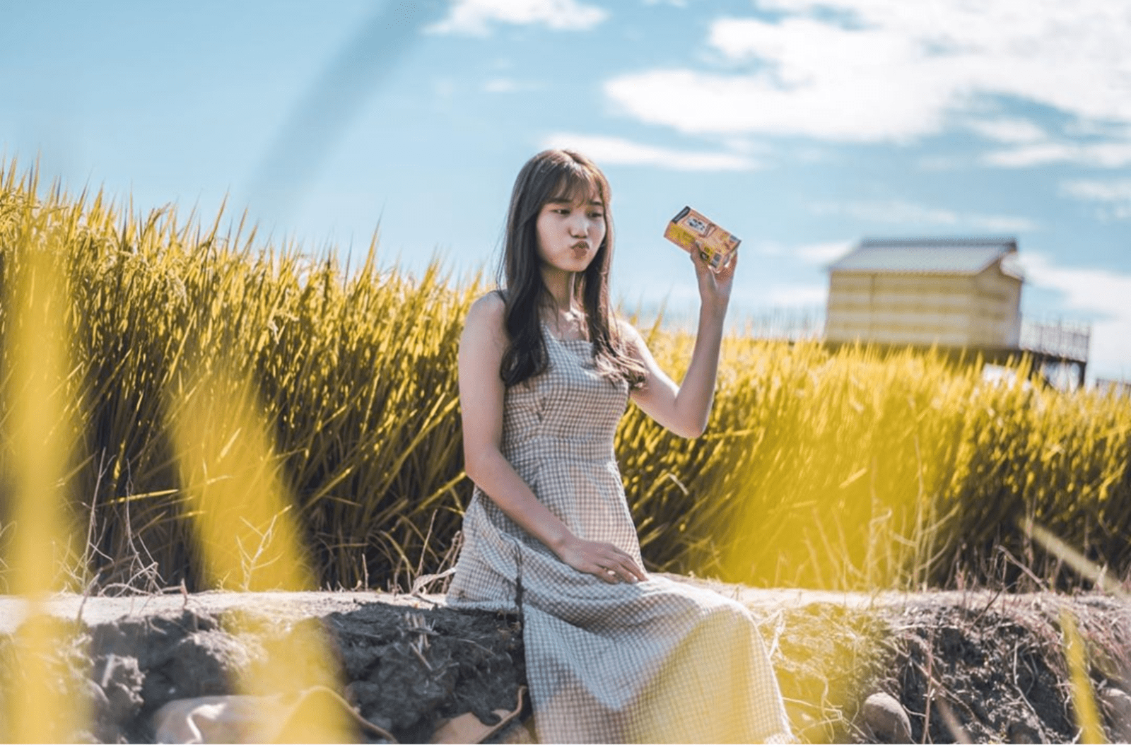 台中打卡景點 台中打卡景點｜蒐集5個自然系網美景點，美拍、踩點一日遊就能玩！ 5 2026