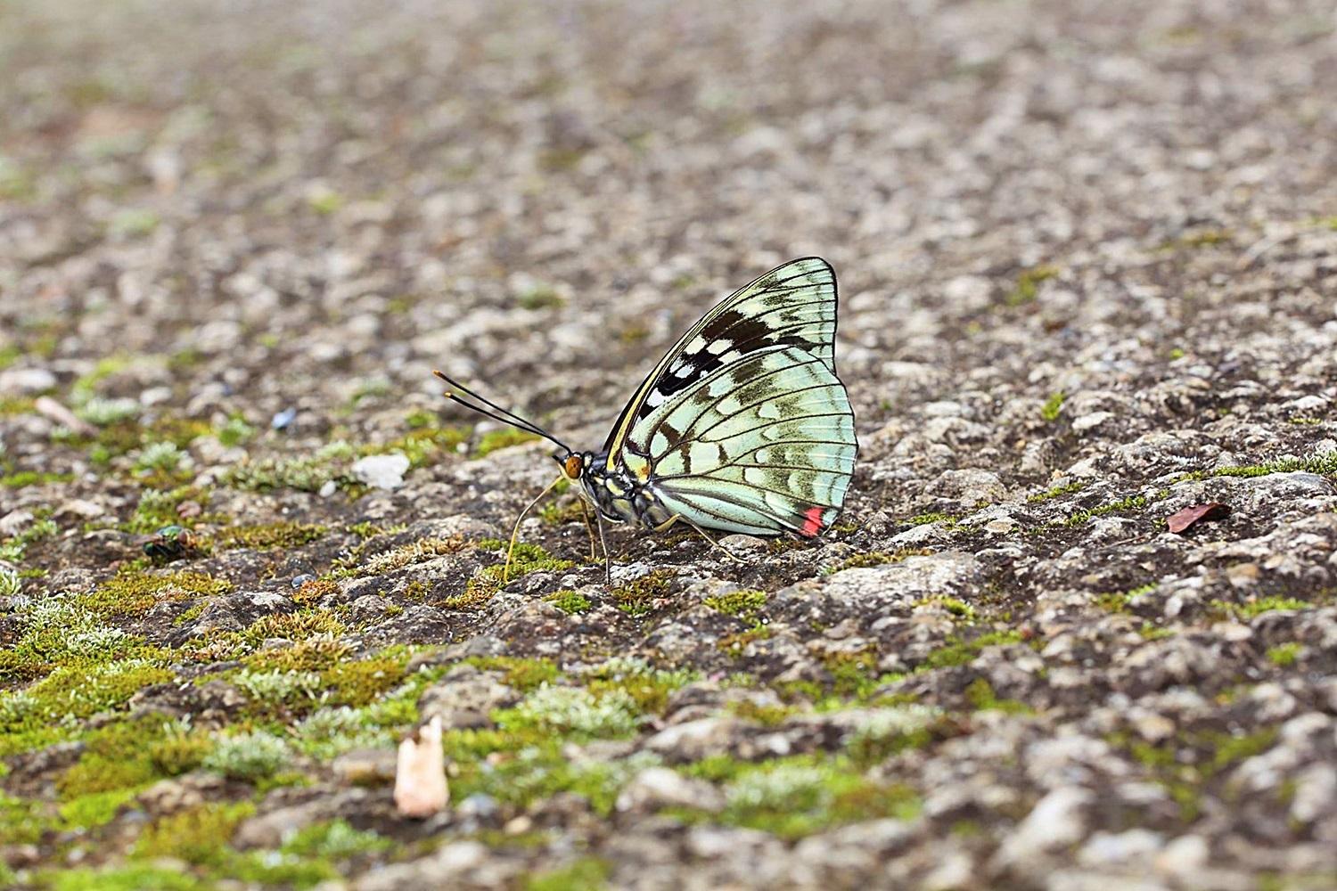 北部戶外活動 北部戶外活動 ｜四大「活博物館」推薦，超放電親子景點一日遊 10 2026
