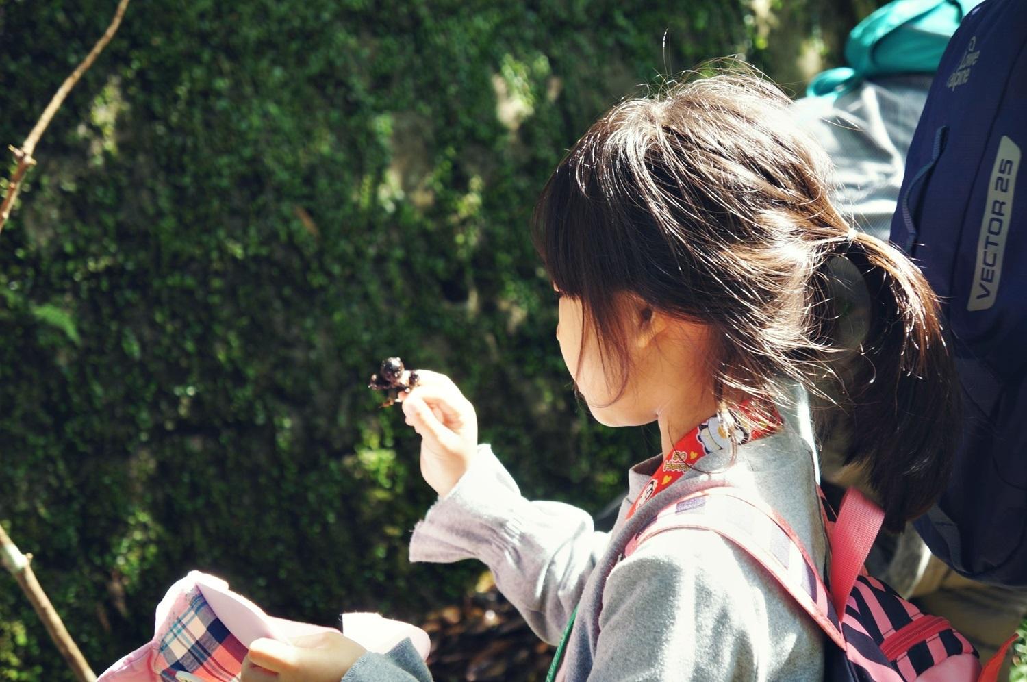 北部戶外活動 北部戶外活動 ｜四大「活博物館」推薦，超放電親子景點一日遊 4 2026