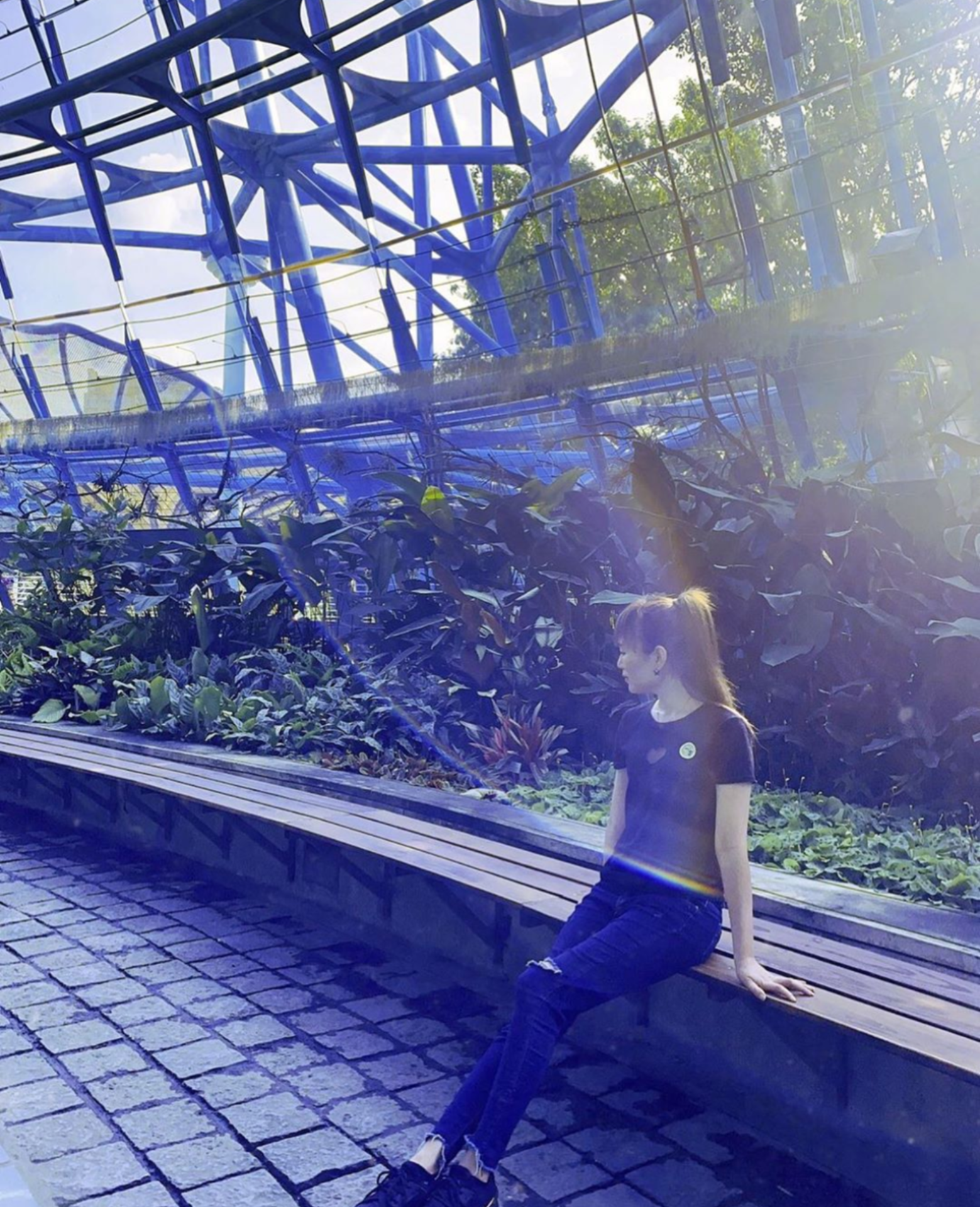 台中IG打卡景點｜蒐集5個自然系網美景點，美拍、踩點一日遊就能玩！