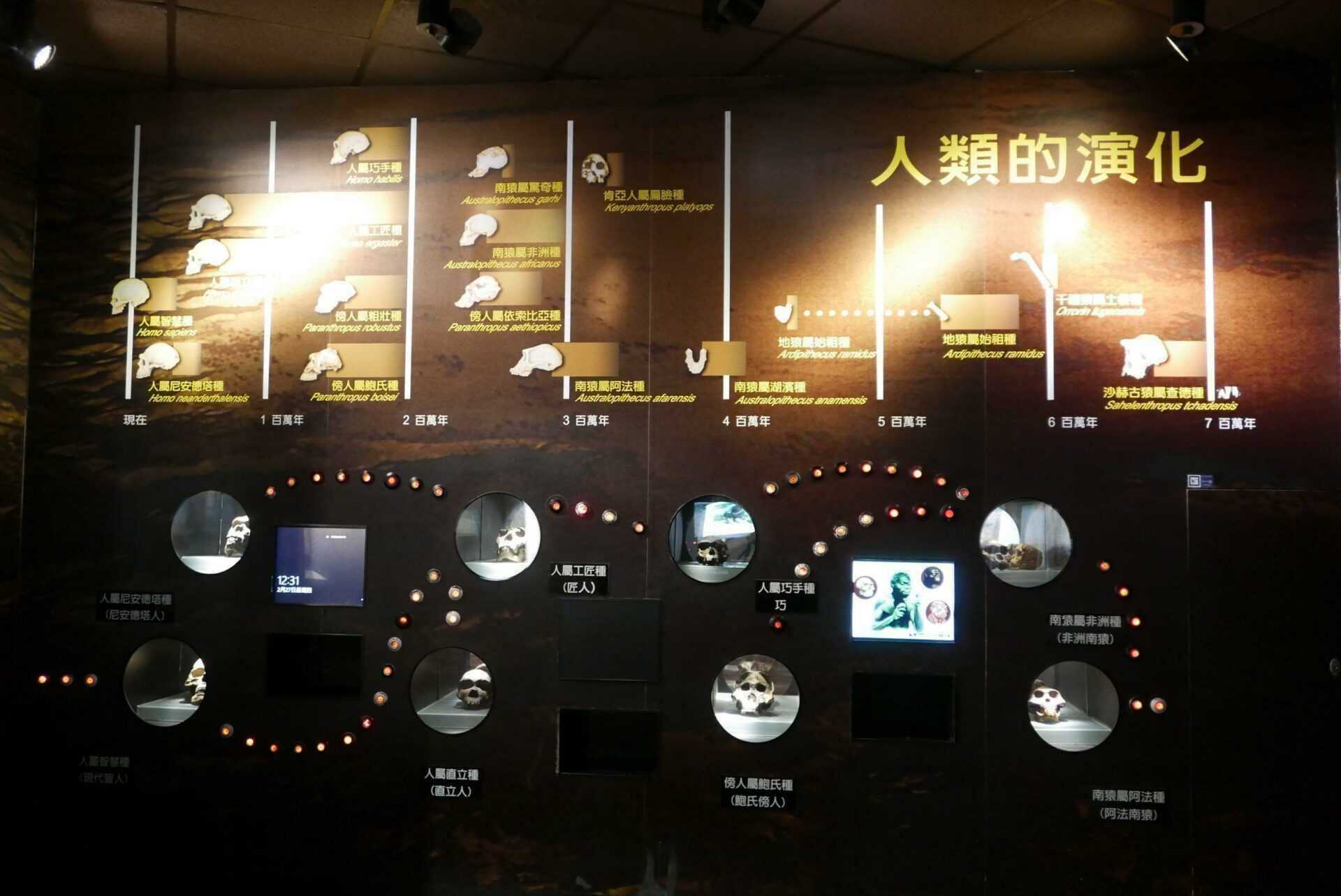 台中科博館門票優惠,必看木乃伊&恐龍展、植物園,滿足你的好奇心 台中科博館門票優惠,必看木乃伊&恐龍展、植物園,滿足你的好奇心