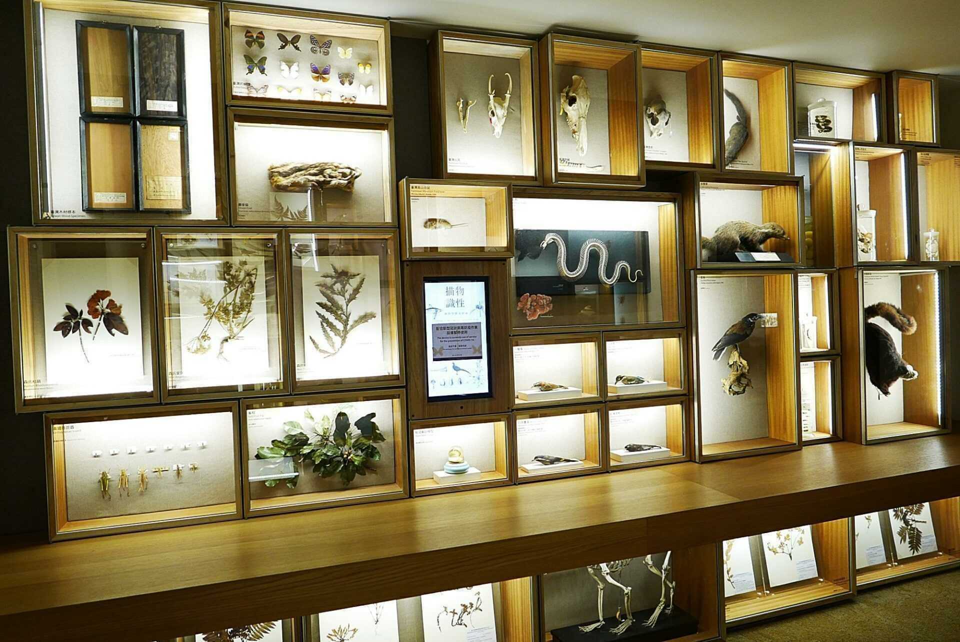 臺灣博物館必看展覽 臺灣博物館
