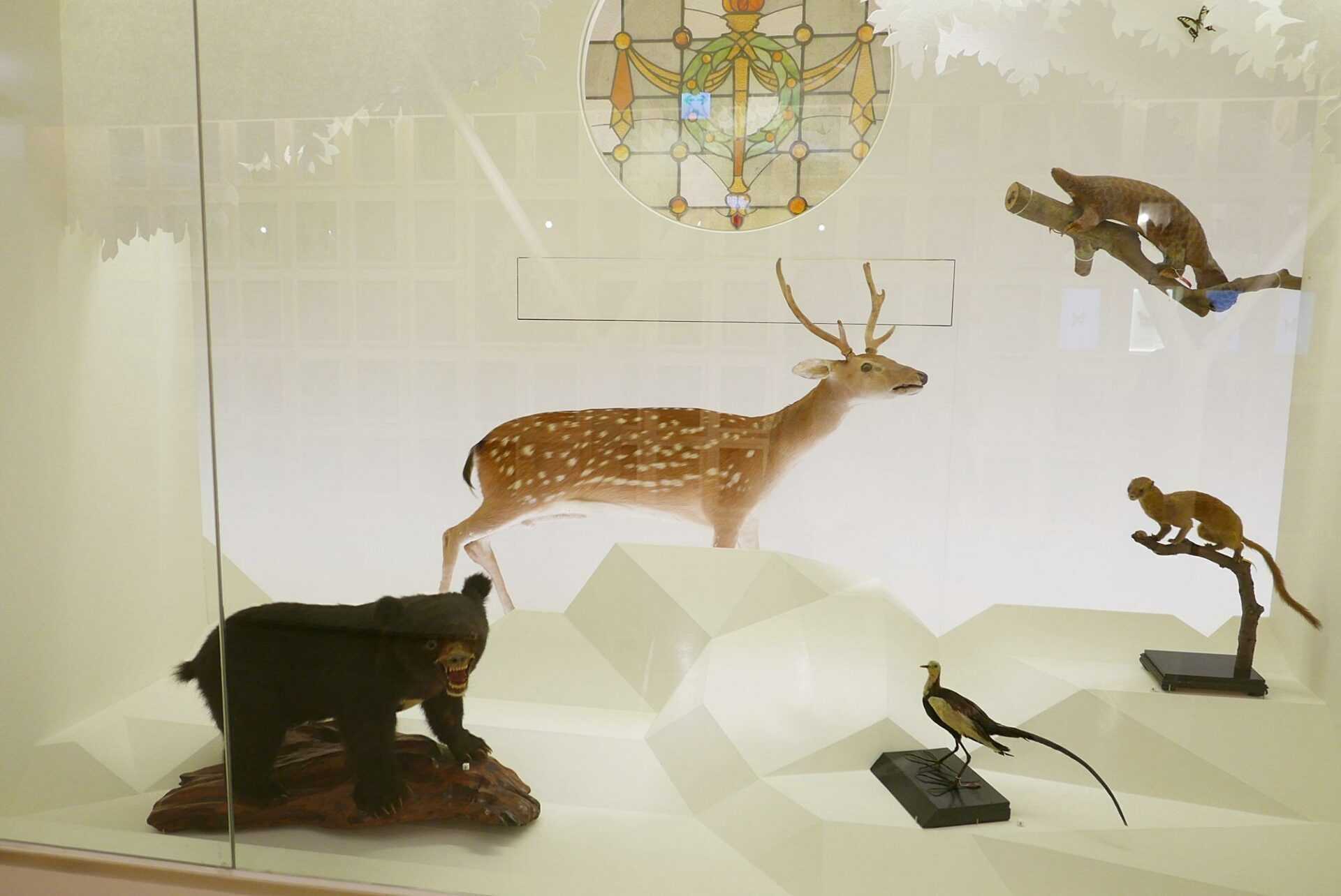 臺灣博物館必看展覽 臺灣博物館必看展覽