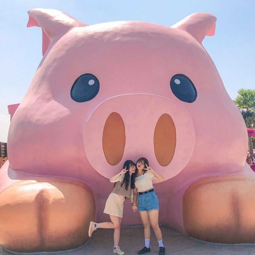 三隻小豬觀光農場 