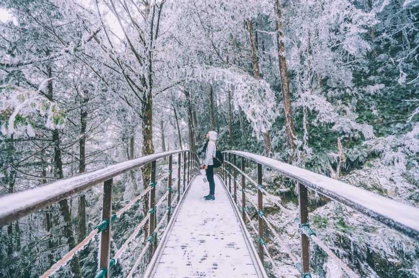 【宜蘭太平山鳩之澤溫泉】太平山溫泉攻略！漫步太平山、煮溫泉蛋，鳩之澤門票／住宿總整理