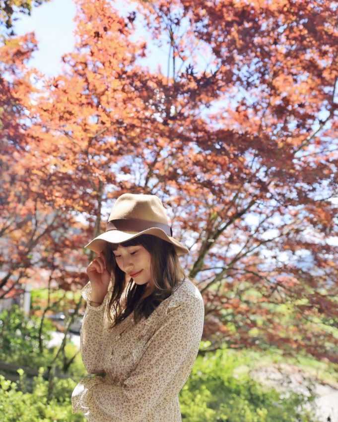 台灣賞楓景點|全台10大熱門賞楓葉好去處、賞楓季節大公開,秋天賞楓秘境就看這一篇 台灣賞楓景點|全台10大熱門賞楓葉好去處、賞楓季節大公開,秋天賞楓秘境就看這一篇