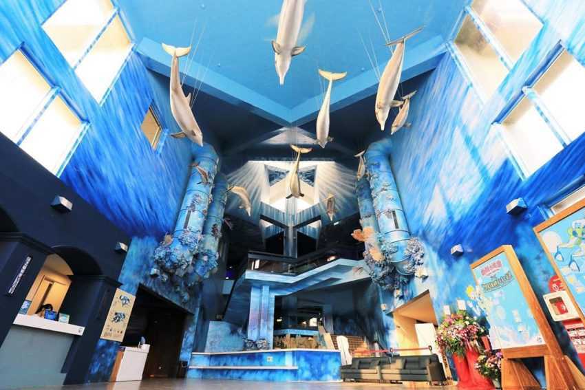 【澎湖水族館】台灣離島唯一的「澎湖水族館」海洋生態一日遊、門票攻略 【澎湖水族館】台灣離島唯一的「澎湖水族館」海洋生態一日遊、門票攻略