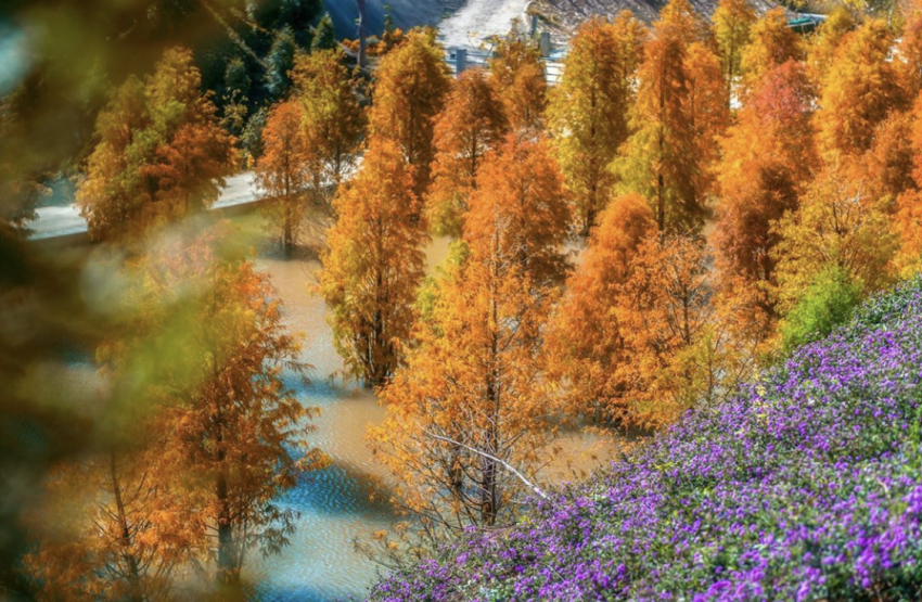 【苗栗南庄景點】不是只有老街，推薦11個南庄一日遊景點，探訪南庄私房景點