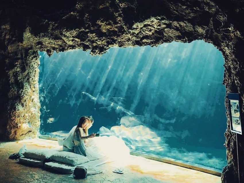 【花蓮遠雄海洋公園】門票優惠，最新活動/美人魚實境秀/夜宿水族館/住宿推薦