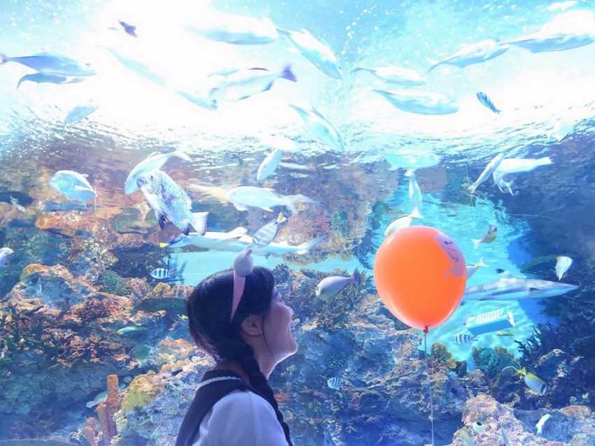 【花蓮遠雄海洋公園】門票優惠，最新活動/美人魚實境秀/夜宿水族館/住宿推薦