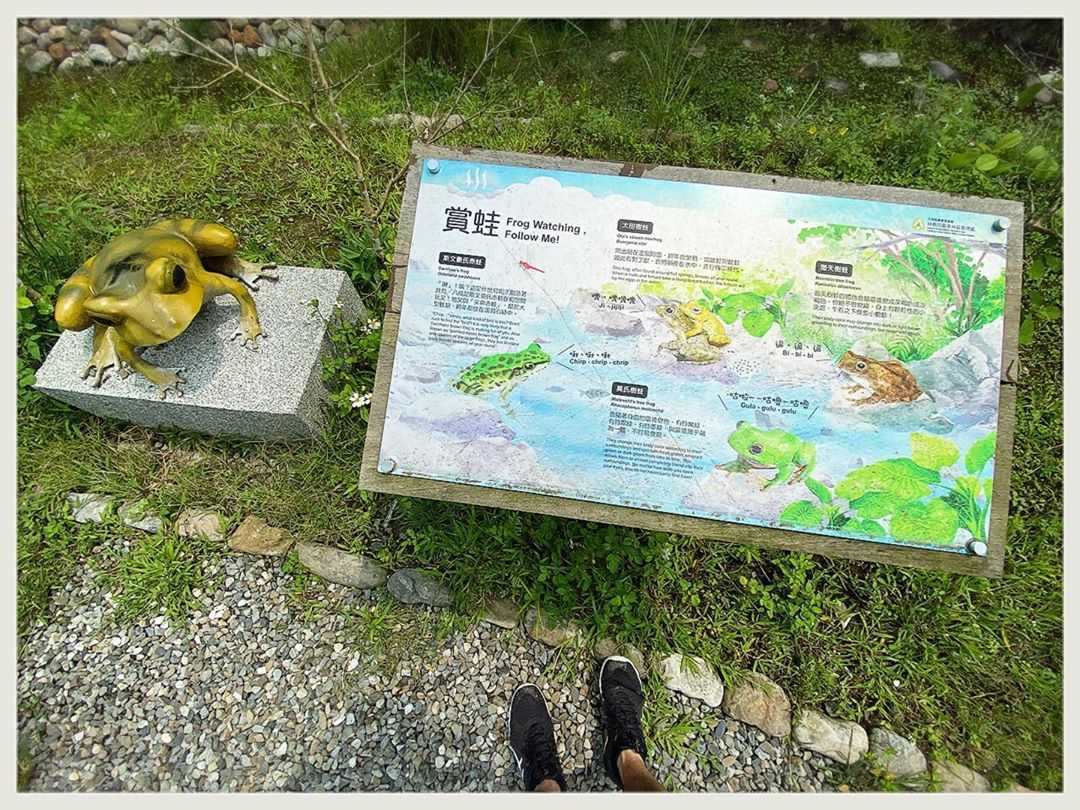 【宜蘭太平山鳩之澤溫泉】太平山溫泉攻略！漫步太平山、煮溫泉蛋，鳩之澤門票／住宿總整理