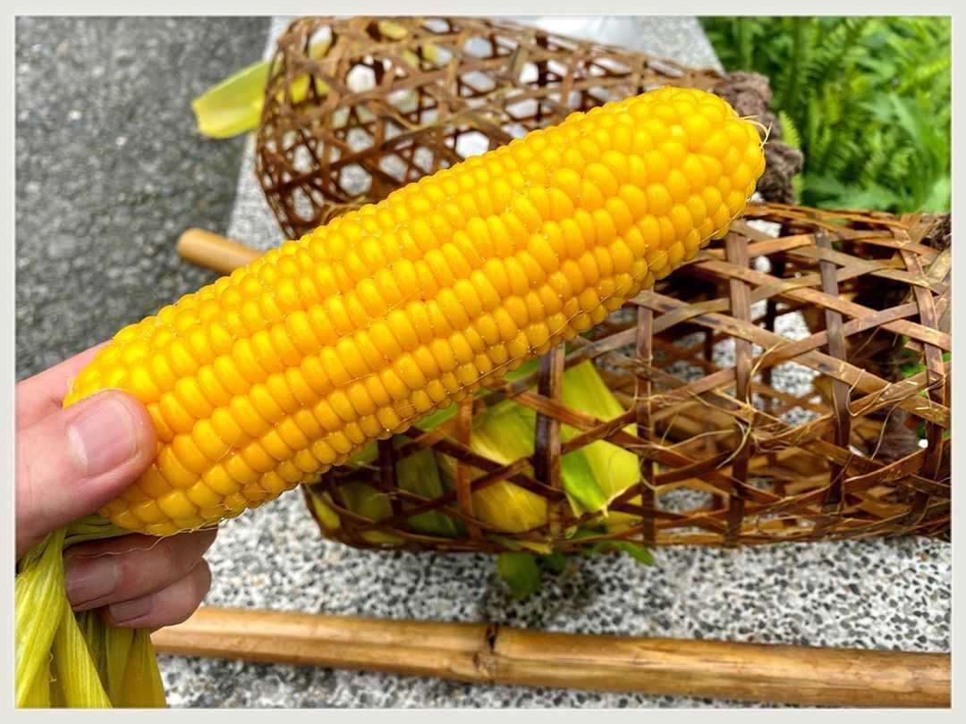 【宜蘭太平山鳩之澤溫泉】太平山溫泉攻略！漫步太平山、煮溫泉蛋，鳩之澤門票／住宿總整理