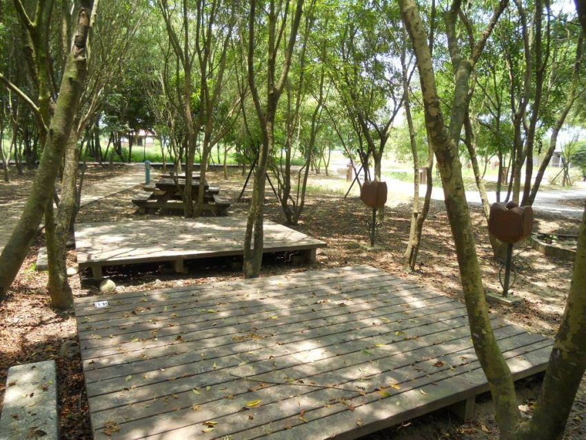 德元埤荷蘭村｜超夢幻異國風景點，不用出國也能拍出荷蘭美景！