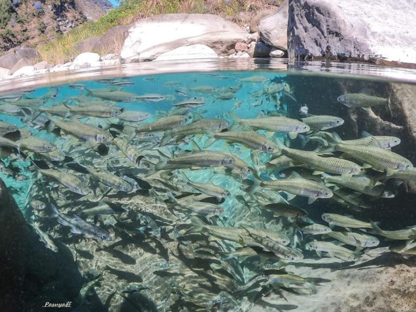 【達娜伊谷】達娜伊谷一日遊怎麼玩？必去自然生態公園&水上餐廳