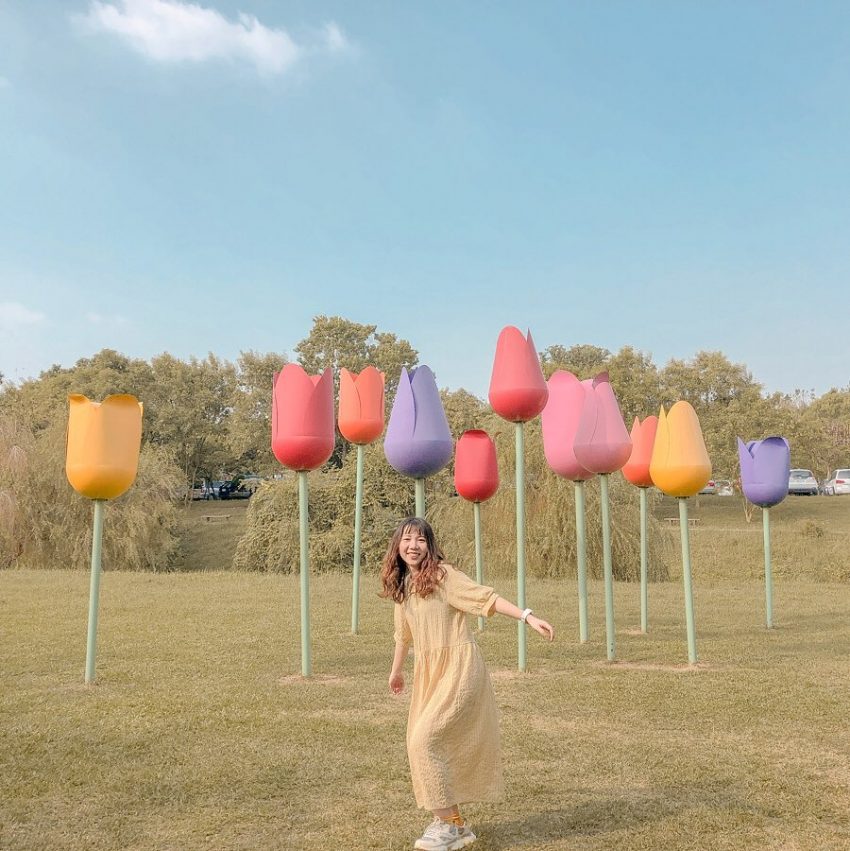 德元埤荷蘭村｜超夢幻異國風景點，不用出國也能拍出荷蘭美景！