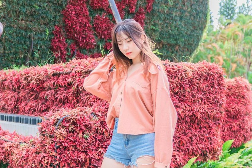 士林官邸鬱金香展2/13登場!新春花卉展/玫瑰/菊展門票、交通總整理 士林官邸鬱金香展2/13登場!新春花卉展/玫瑰/菊展門票、交通總整理