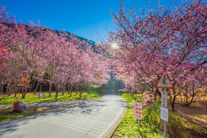 【228連假旅遊攻略】二二八連假放幾天?國內外超夯春遊行程一次敲定! 【228連假旅遊攻略】二二八連假放幾天?國內外超夯春遊行程一次敲定!