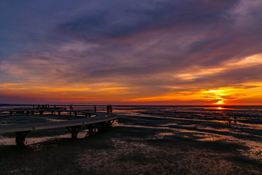 香山溼地1 (來源：新竹市政府-新竹小塹有約)