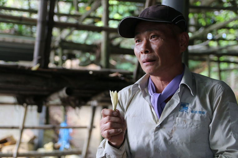 玉蘭花3-新竹香山-來源：新竹市政府新竹小塹有約